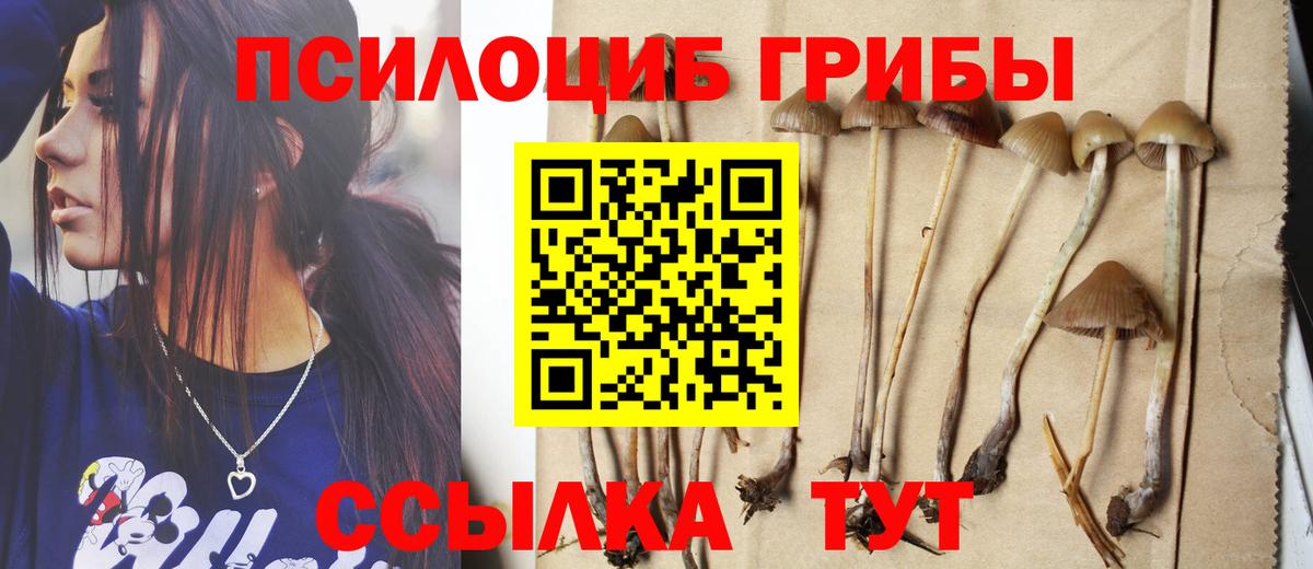 Галлюциногенные грибы мухоморы  Псилоцибиновые грибы Psilocybe  Вход с VPN  Бугуруслан 
